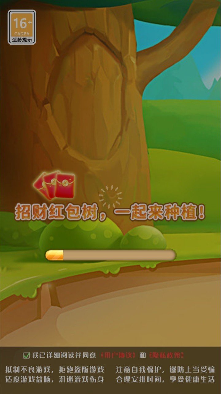 永久发财树 永久发财树