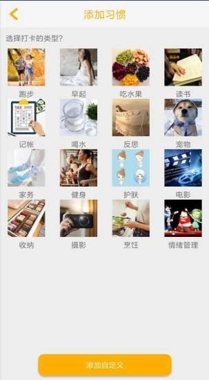 金桔子 金桔子