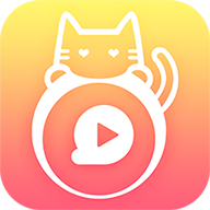 叮叮猫