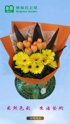 缤纷云上花 缤纷云上花