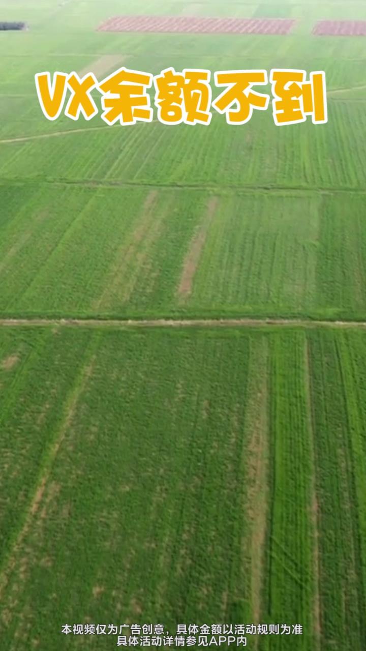 安逸的假期 安逸的假期