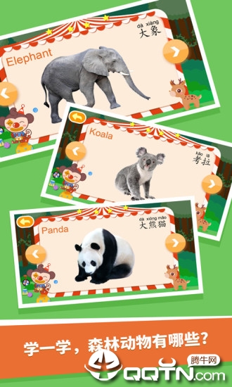 森林动物 森林动物