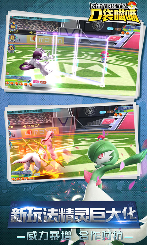 口袋喵喵 口袋喵喵