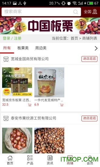 中国板栗 中国板栗