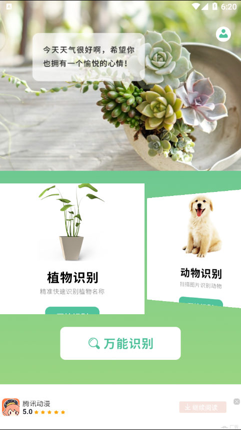 花卉百科 花卉百科