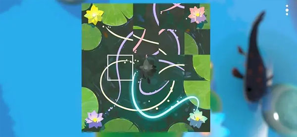 鲤 重制版 鲤 重制版