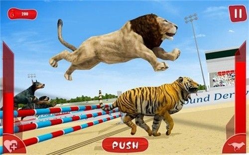 Lion Race 3d(狮子赛跑3D) Lion Race 3d(狮子赛跑3D)