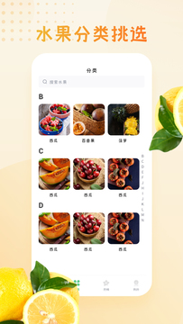 水果大全 水果大全