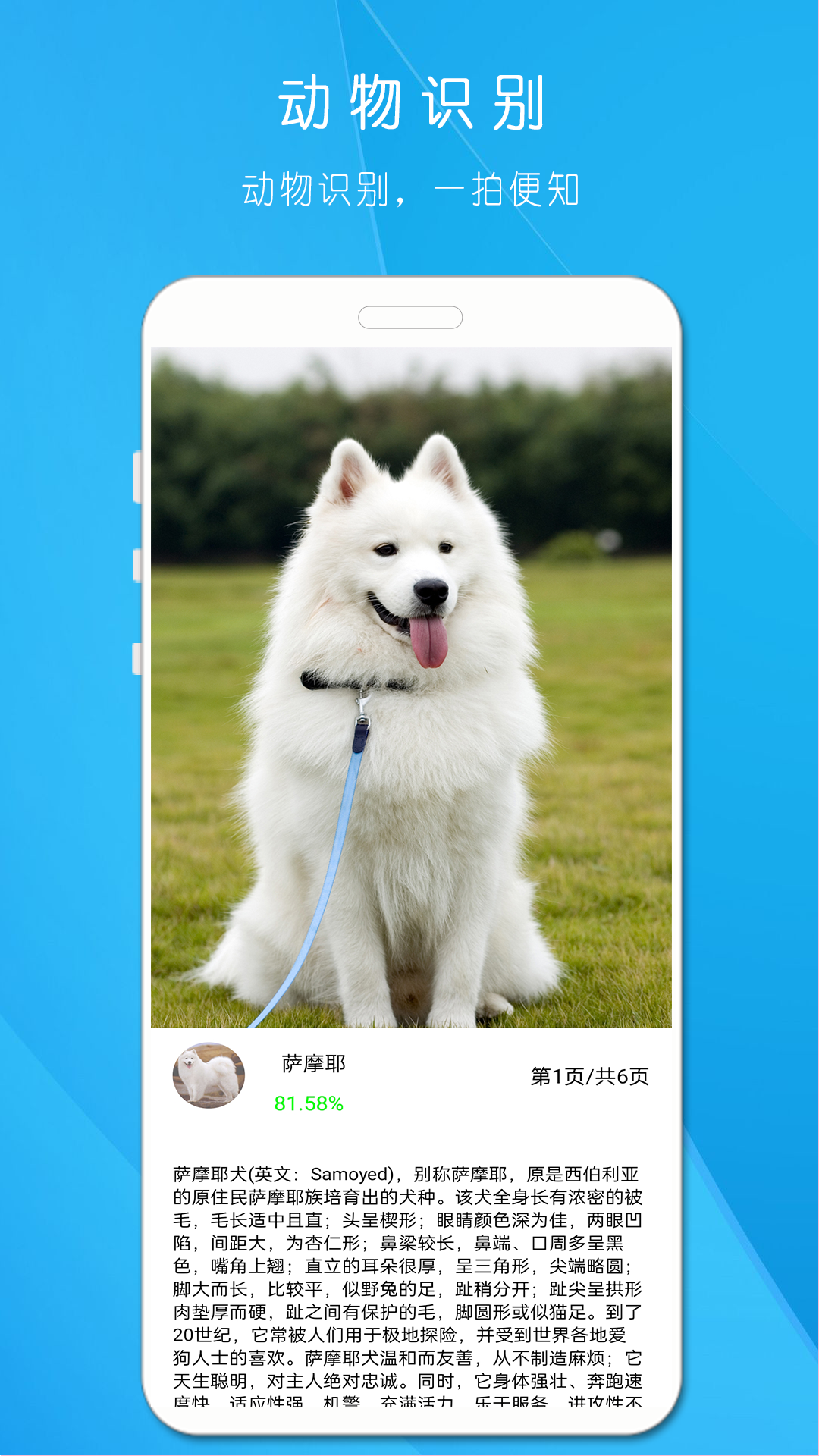 拍照识万物 拍照识万物