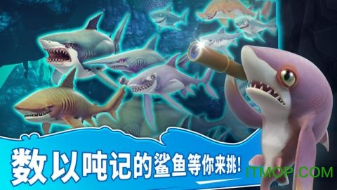 饥饿鲨世界最新版 饥饿鲨世界最新版