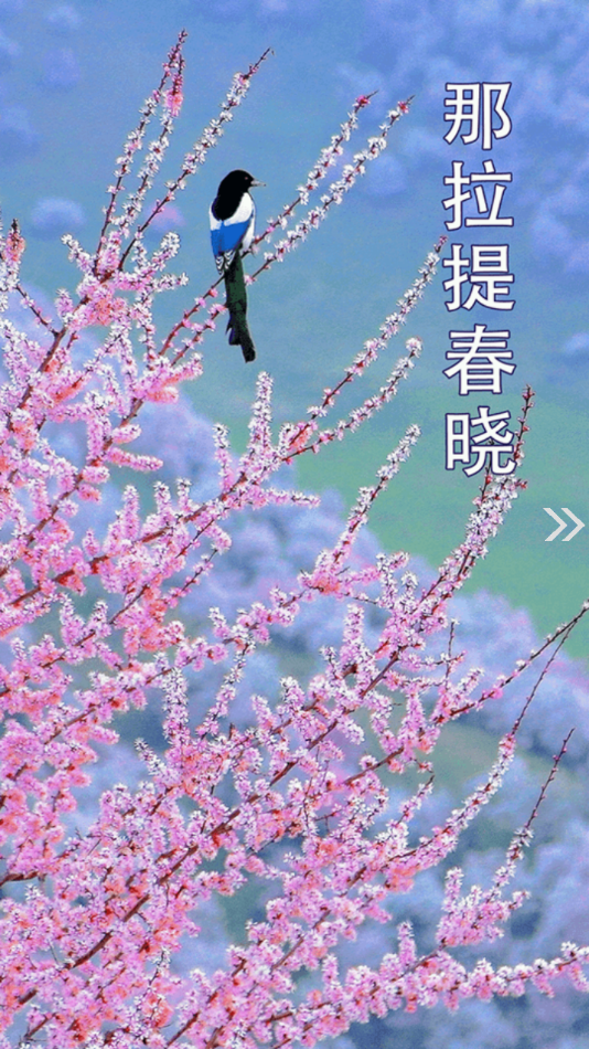 新源好地方 新源好地方