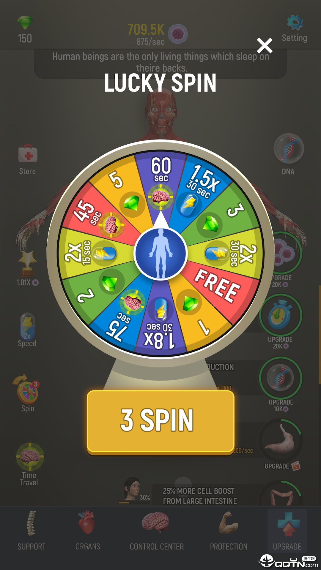 创造人类模拟 创造人类模拟