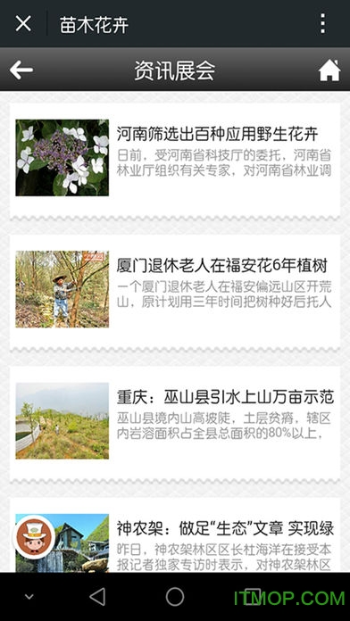 中国苗木交易网 中国苗木交易网