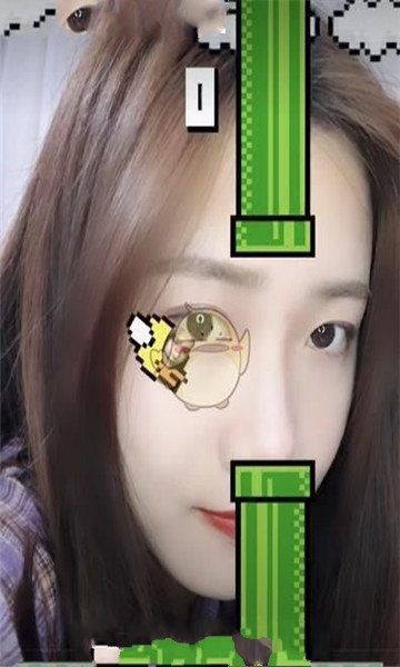眨眼小鸟Flappy Bird 眨眼小鸟Flappy Bird