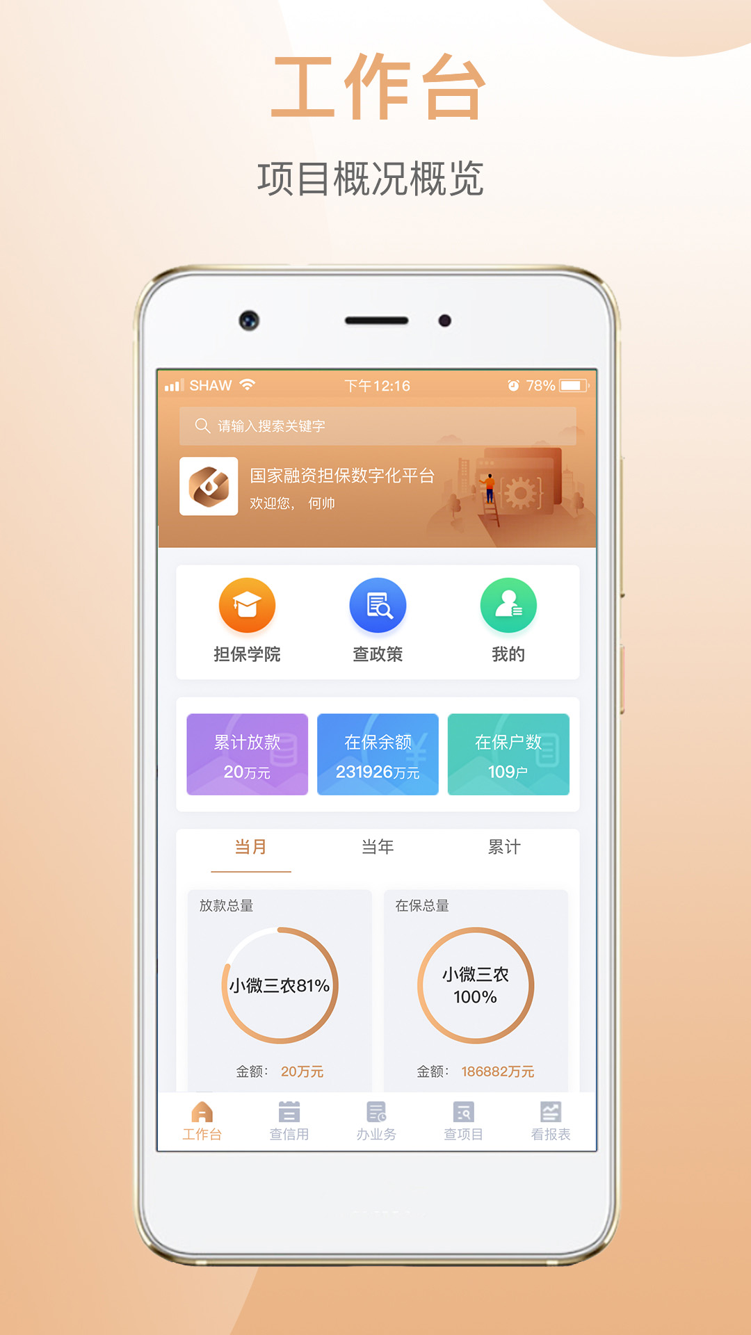 国家融资担保 国家融资担保