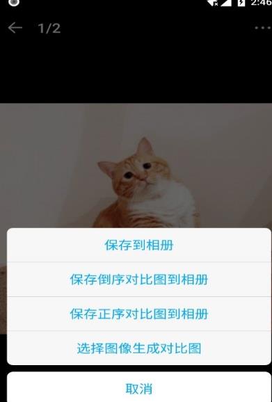 猫咪成长记 猫咪成长记