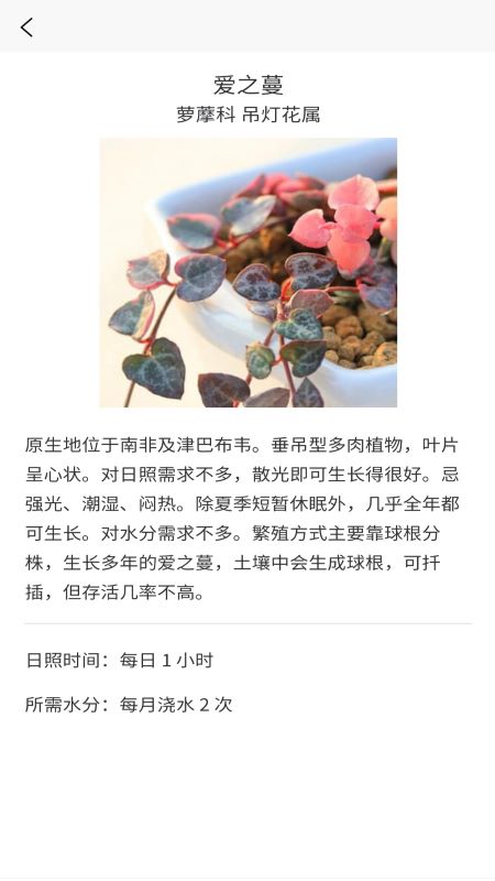 嘟嘟多肉植物鉴 嘟嘟多肉植物鉴
