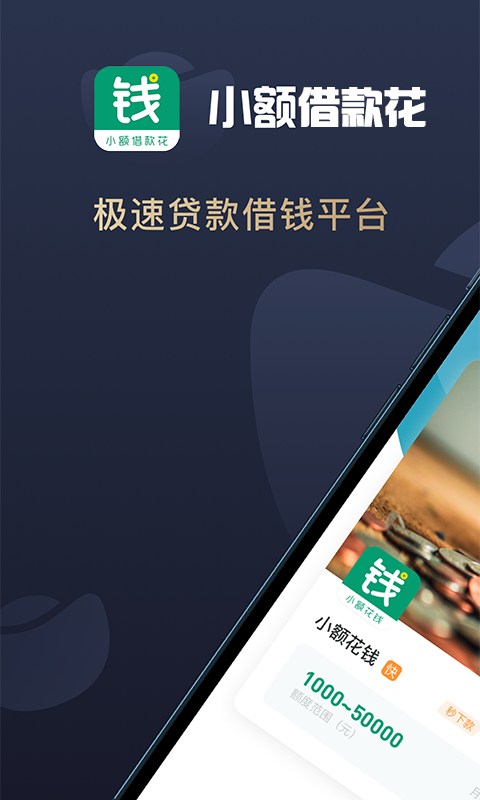 小额借款 小额借款