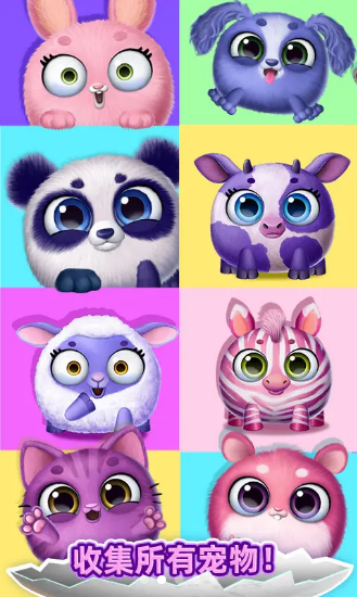我的可爱宠物屋 我的可爱宠物屋
