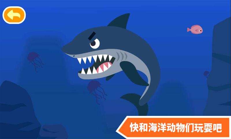 多多海洋动物 多多海洋动物