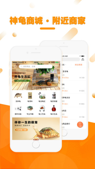 神龟网 神龟网