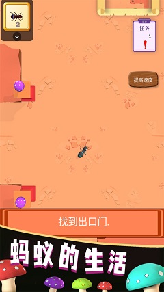 蚂蚁的生活 蚂蚁的生活