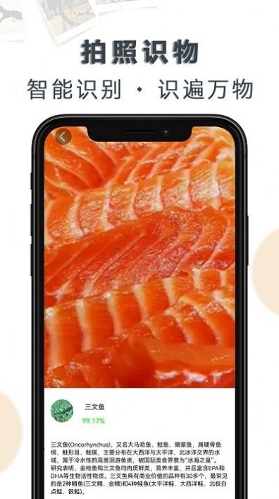 豆拍拍照识物 豆拍拍照识物