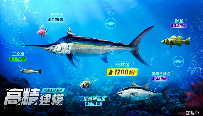 野外钓鱼大师 野外钓鱼大师