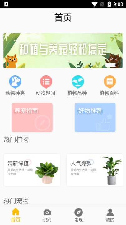 灵通植物 灵通植物