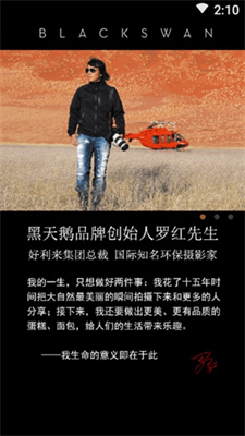 黑天鹅 黑天鹅