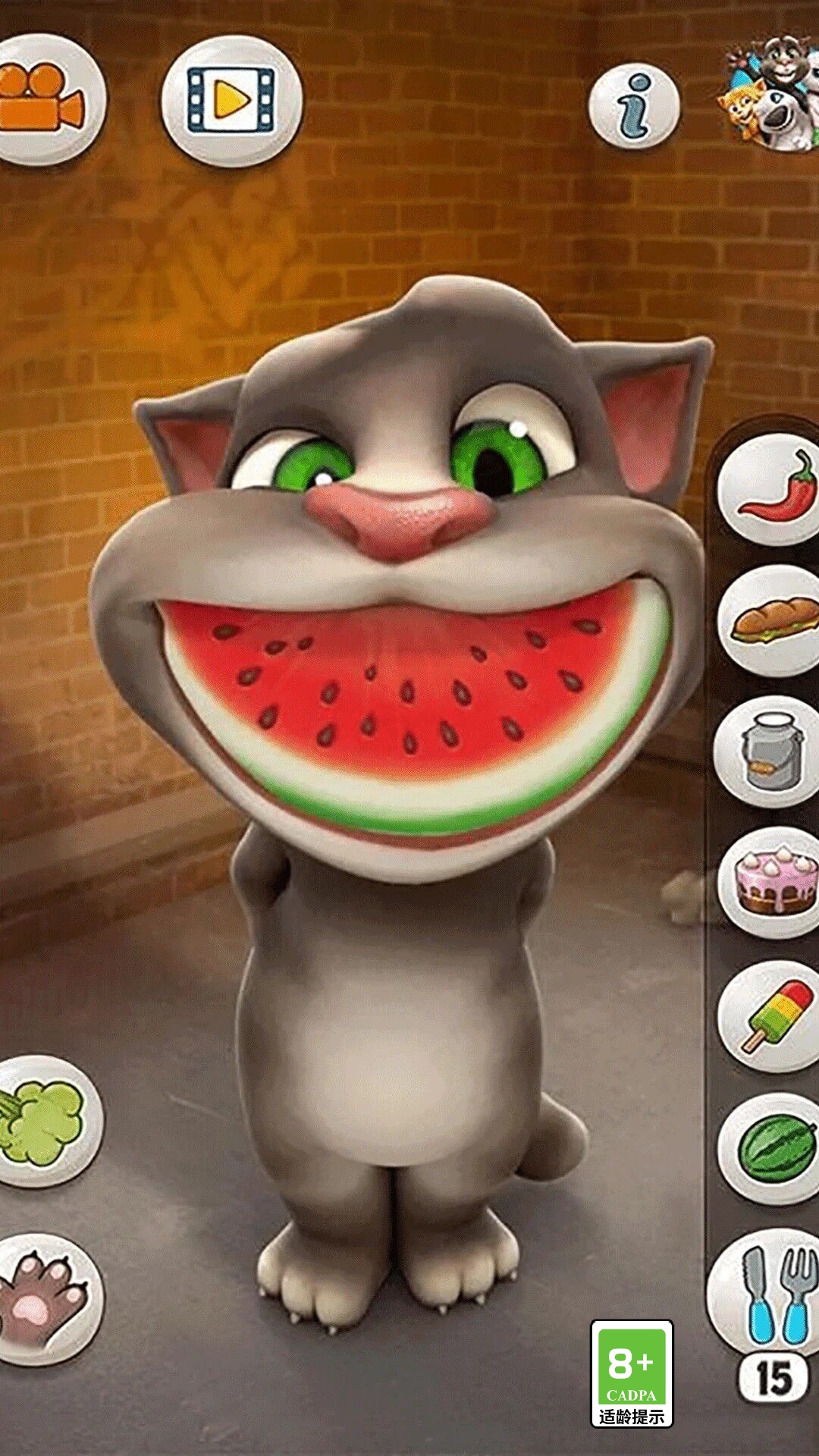 会说话的汤姆猫免费版 会说话的汤姆猫免费版