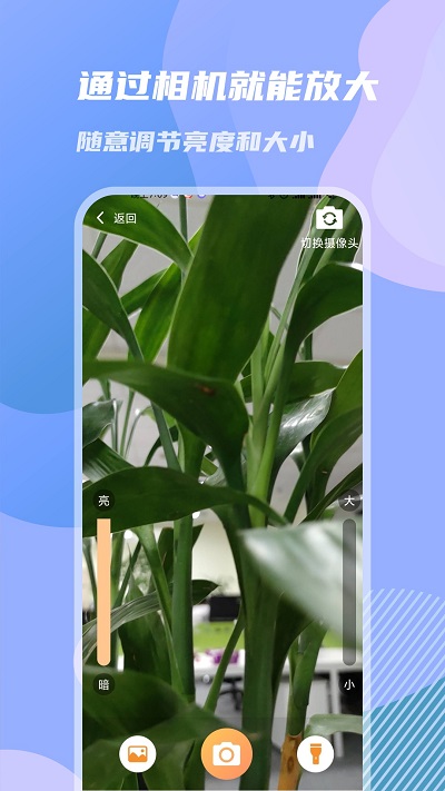 天天放大镜 天天放大镜