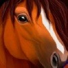 棕马模拟器UltimateHorse