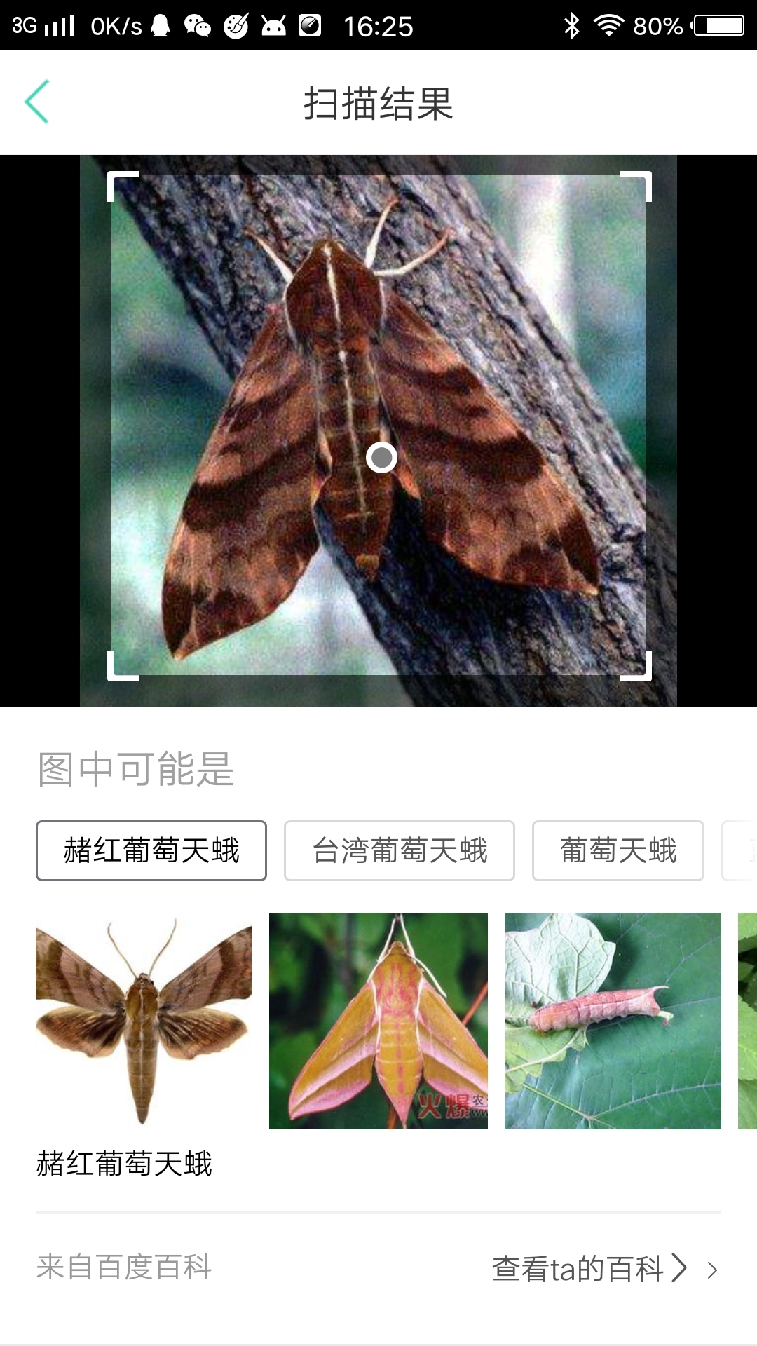 生防宝典 生防宝典