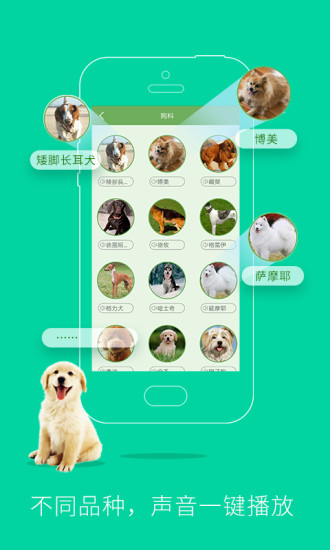 人猫交流器 人猫交流器