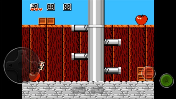 松鼠大战 松鼠大战