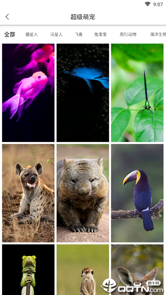 全景壁纸 全景壁纸