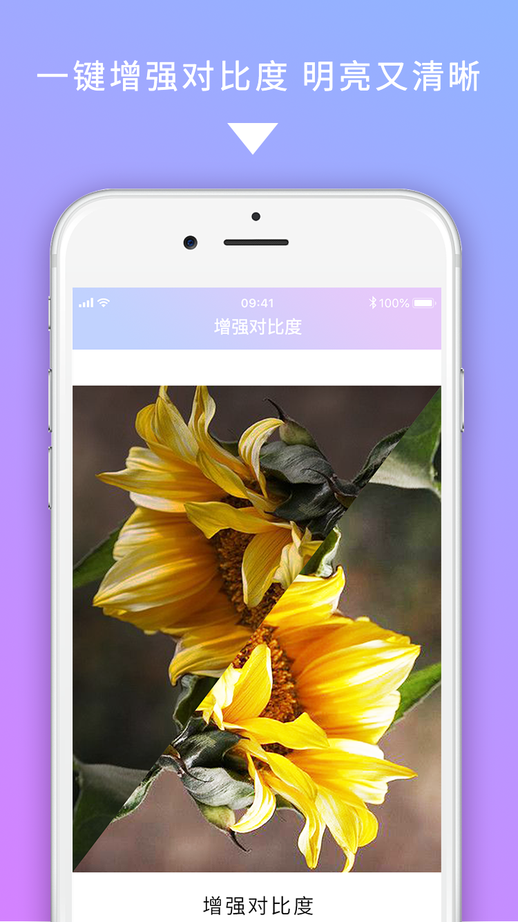 图修美图 图修美图