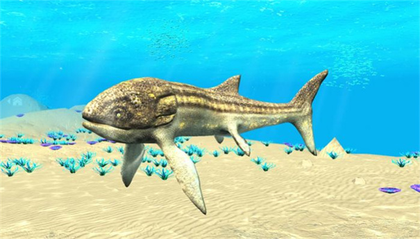 水下生存:深潜 水下生存:深潜