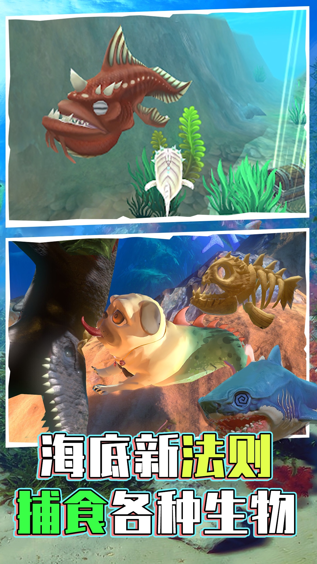 海底世界模拟 海底世界模拟