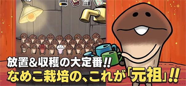 原始菇菇栽培实验室 原始菇菇栽培实验室