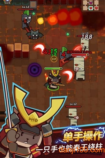 达猫小分队 达猫小分队