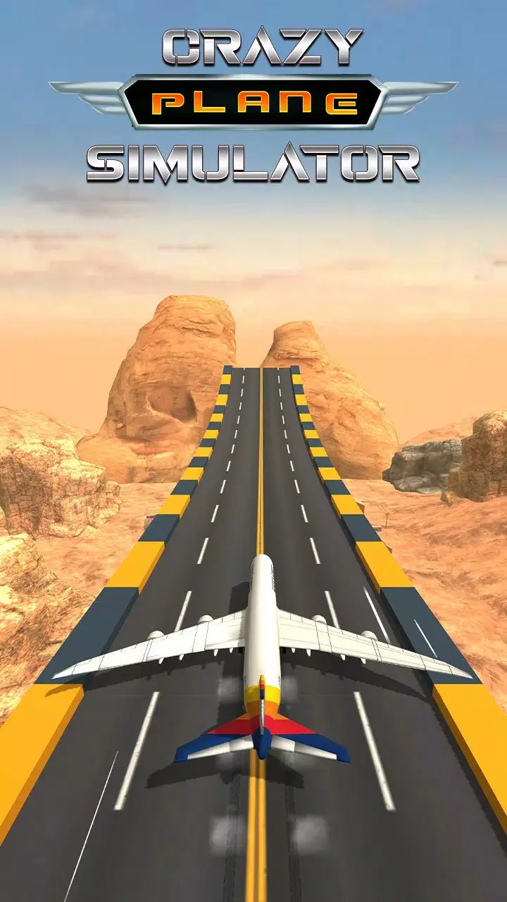 疯狂的飞机 疯狂的飞机