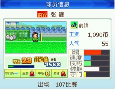 冠军足球物语修改版 冠军足球物语修改版