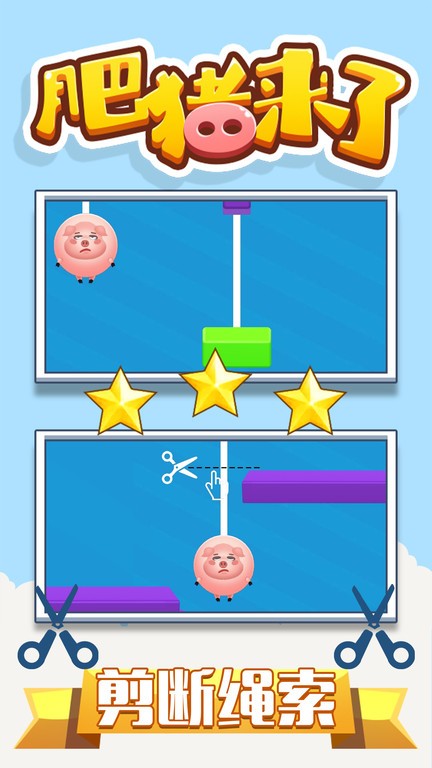 肥猪来了 肥猪来了