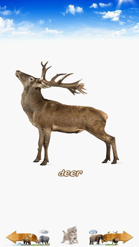 动物叫声 动物叫声