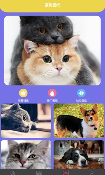 拆家特工队 拆家特工队