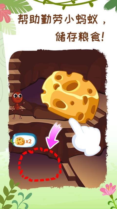 昆虫世界 昆虫世界