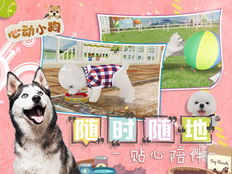 心动小狗 心动小狗