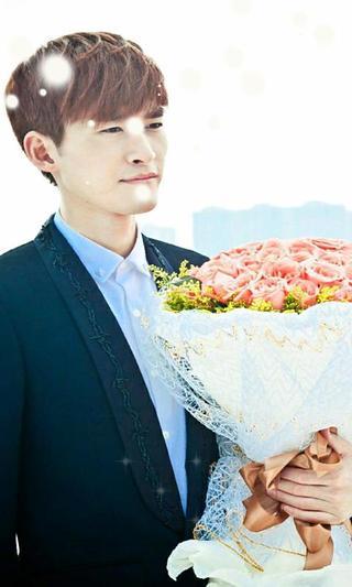 绿豆动态壁纸 绿豆动态壁纸